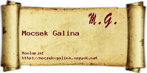Mocsek Galina névjegykártya